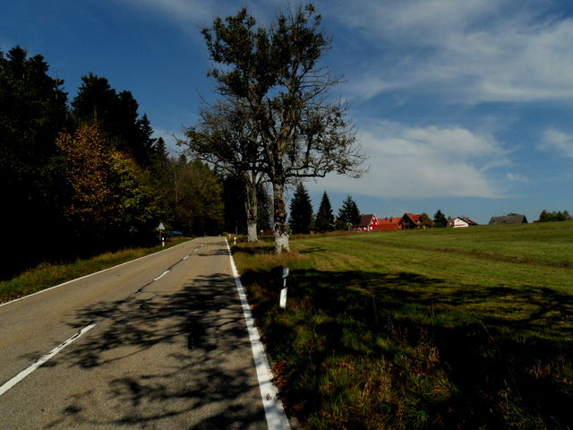 Der Endspurt - noch wenige Meter nach Schömberg