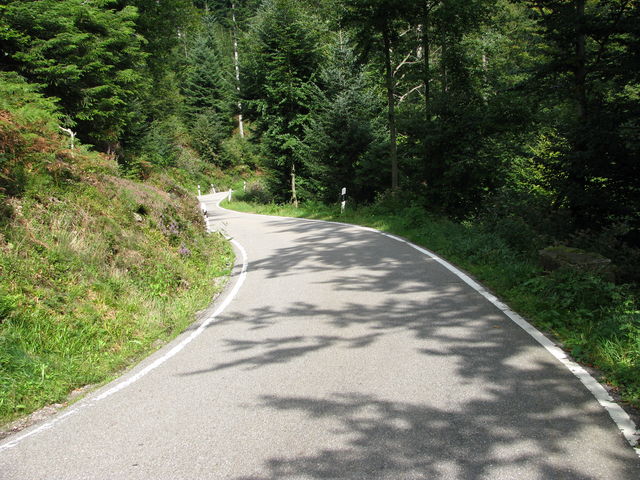 Strasse zum Schäfersfeld-Pass...hier wirds eng..3,5 m breit (Nordrach-Löcherberg)