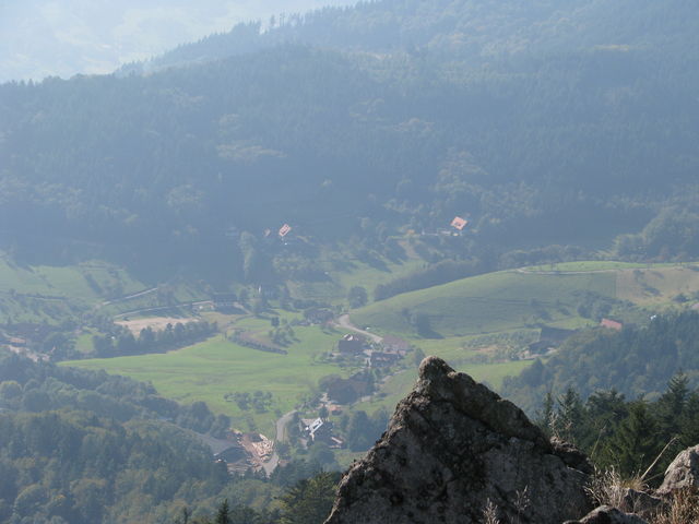 Blick ins Tal vom Hohfels