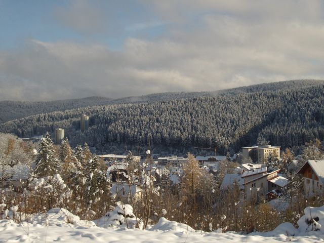 Der erste Schnee im Schwarzwald (Furtwangen)