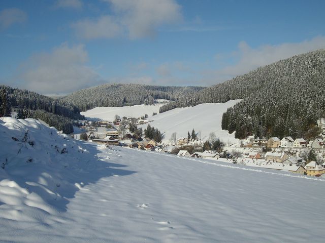 Der erste Schnee im Schwarzwald (Furtwangen)