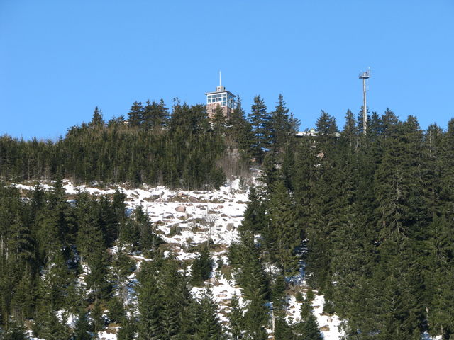 Blick zum Hornisgrinde-Turm