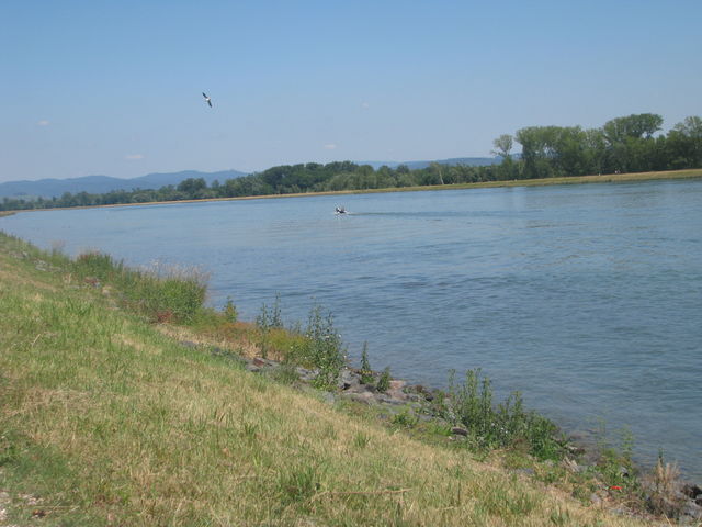 Am Rhein bei Rhinau(F)