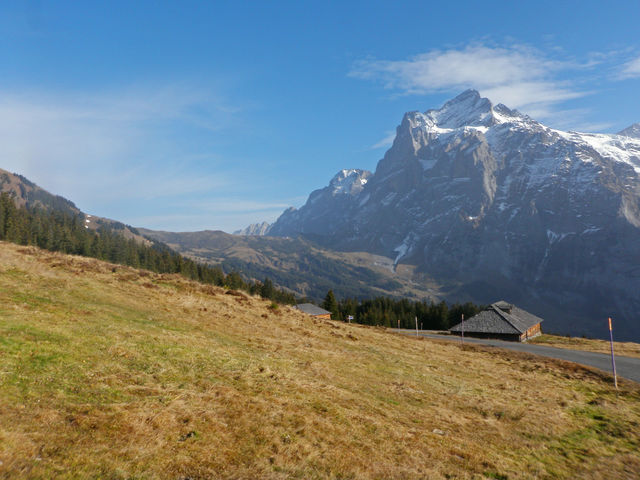 Wetterhorn, links davon die Grosse Scheidegg