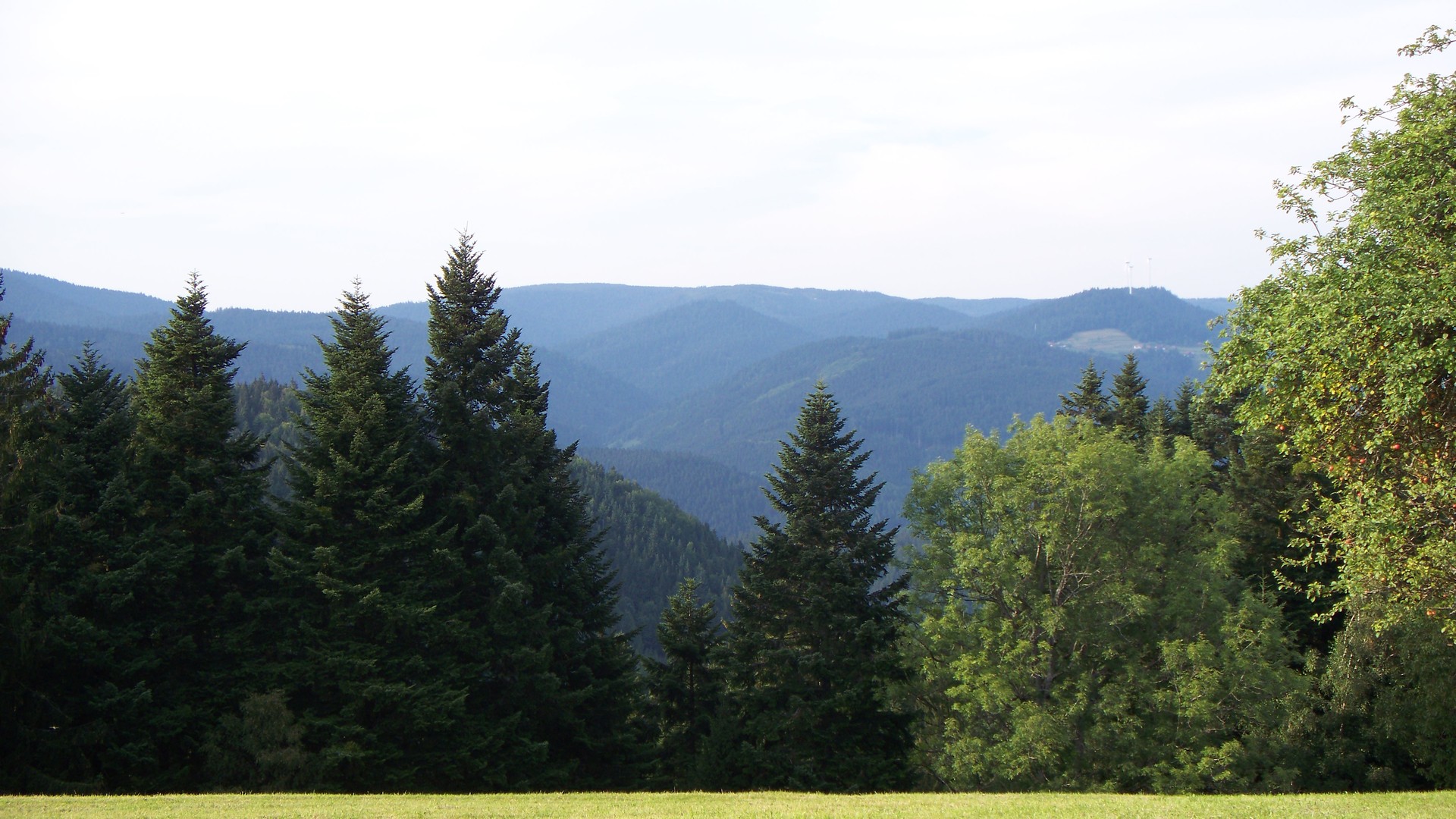 Blick in den Nordschwarzwald