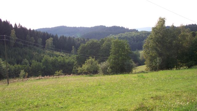 Malerisches Tal oberhalb Wolfach