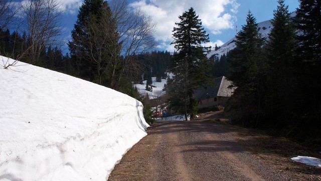 Fahrweg zur Zastler Hütte