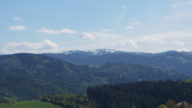 Feldberg (1493m)