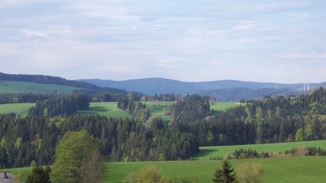 Blick zum Obereck (1177m)