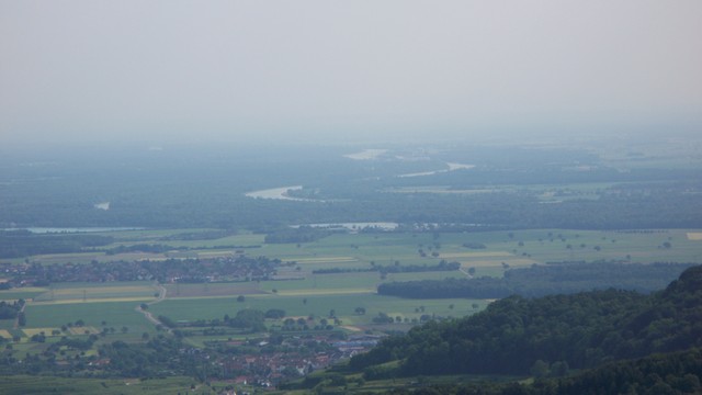 Blick zum Rhein