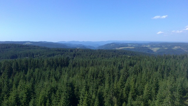 Ausblick über das Gutachtal hin in Richtung Nordschwarzwald