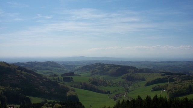 Blick zum Totenkopf (557m) im Kaiserstuhl