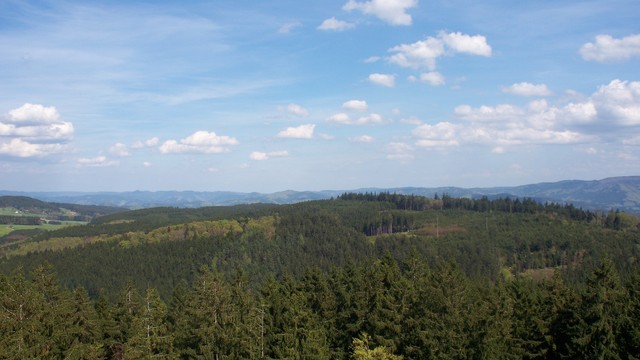 Schwarzwaldidylle pur