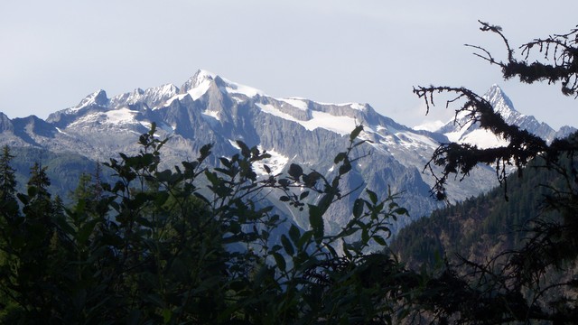 Gross Wannenhorn (3906m) und Finsteraarhorn (4274m)