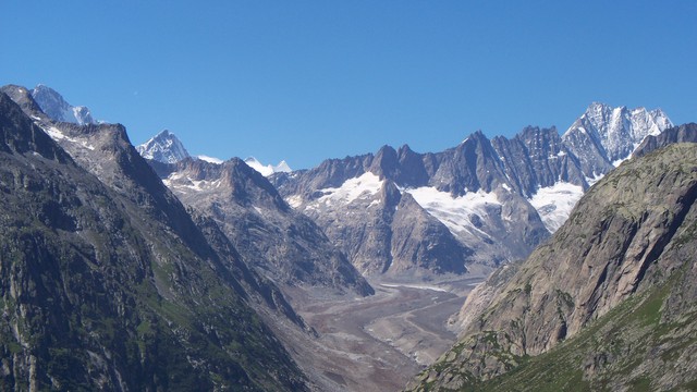 Grandiose Bergwelt oberhalb dem Unteraartal:
Finsteraarhorn(4274m), Agassizhorn (3946m), die 3 Fiescherhörner (4049m), Lauteraarhorn (4042m), Schreckhorn 4078m
