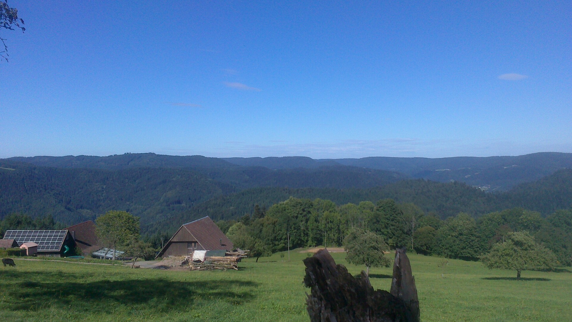 Blick in den nördlichen Mittleren Schwarzwald.
