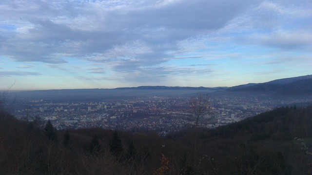 Freiburg von der Schneeburg aus
