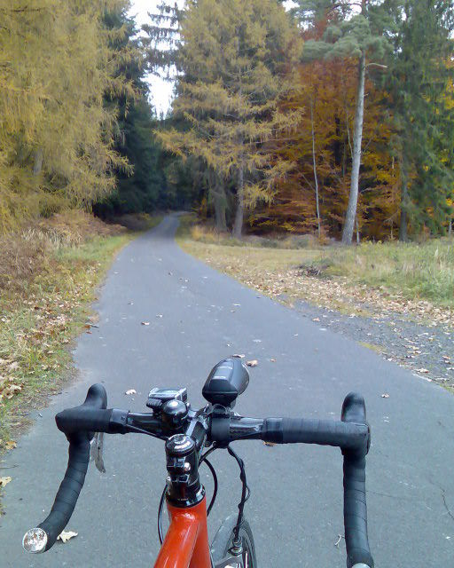 Herbst auf der Reffenstraße, Büdinger Wald, Vogelsberg.