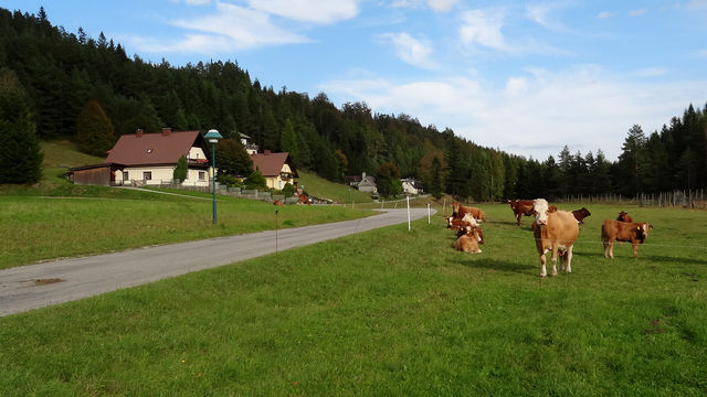 Anfahrt von Rohr im Gebirge: In der Nähe das Gastofes Furtner.