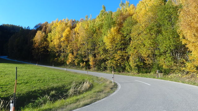Ostanfahrt: Schöne Herbststimmung.