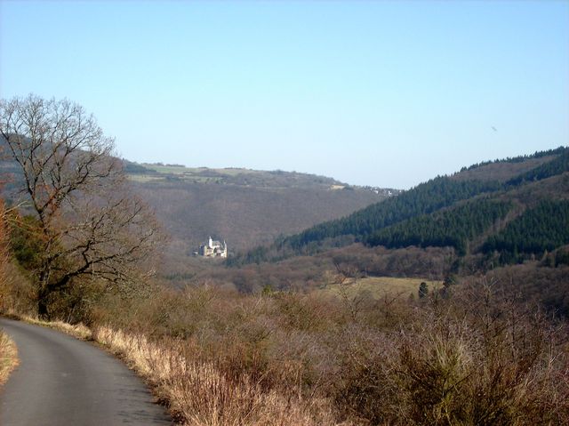 Rückblick auf das Schloss Bürresheim im Tal.