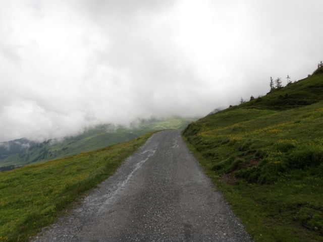 Alp Grindel: Staubstrasse zwischen Grosser Scheidegg Passhöhe und Alp Grindel