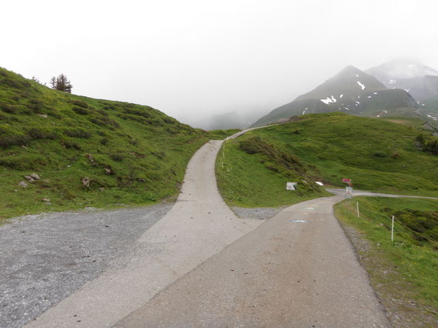 Alp Grindel: Die Verbindungsstrasse endet direkt an der Grossen Scheidegg Passhöhe