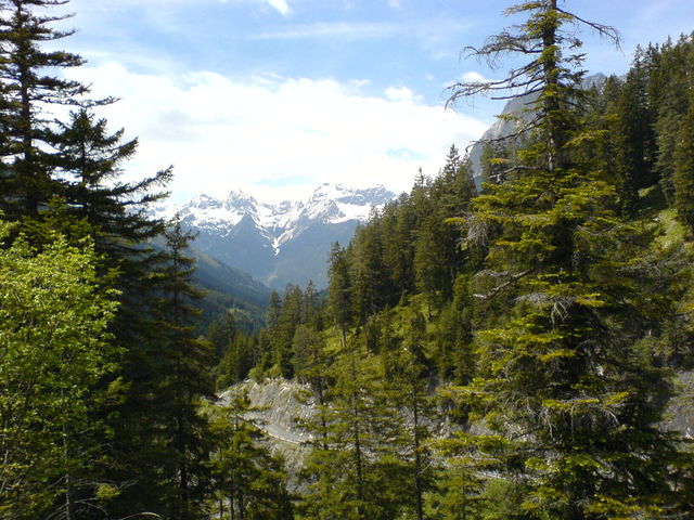 Hahntennjoch Westrampe 
Abfahrt mit Blick auf die Hornbachkette