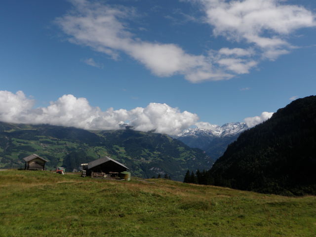 Hübsche Alp