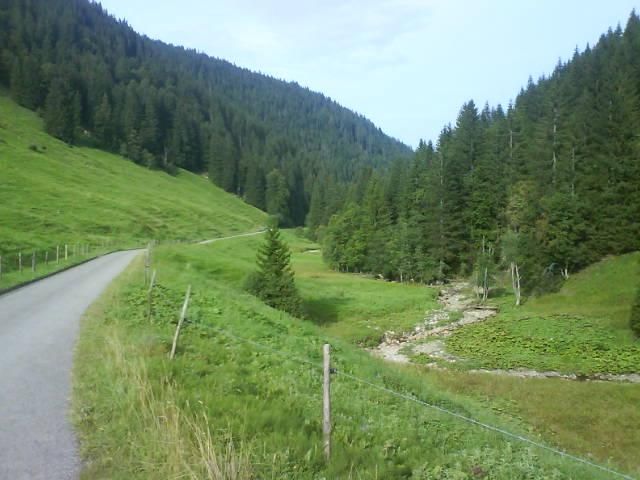Das Lochbachtal in Richtung Abfahrt zum Hirschsprung (Lochwiesen).