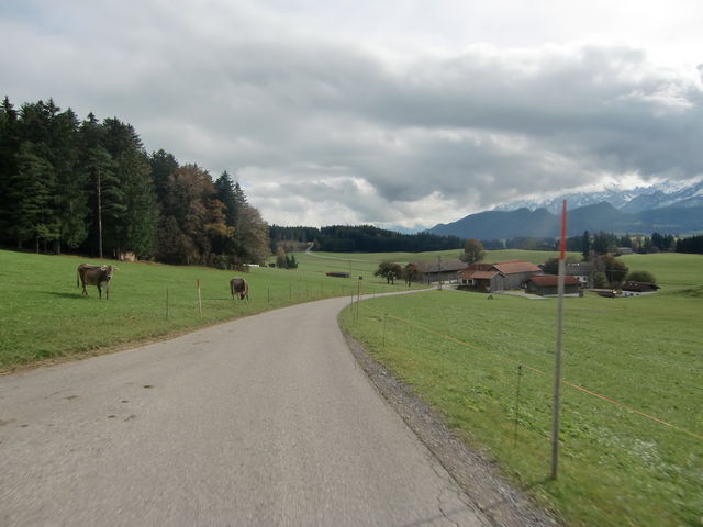 Allgäu - kleine Straßen Richtung Füssen