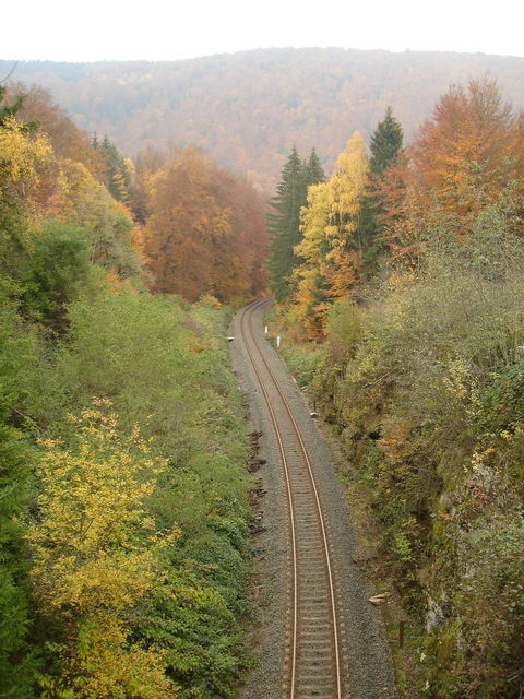 Eisenbahnromantik zwischen Mürschnitz und Forschengereuth am 31.10.2009.