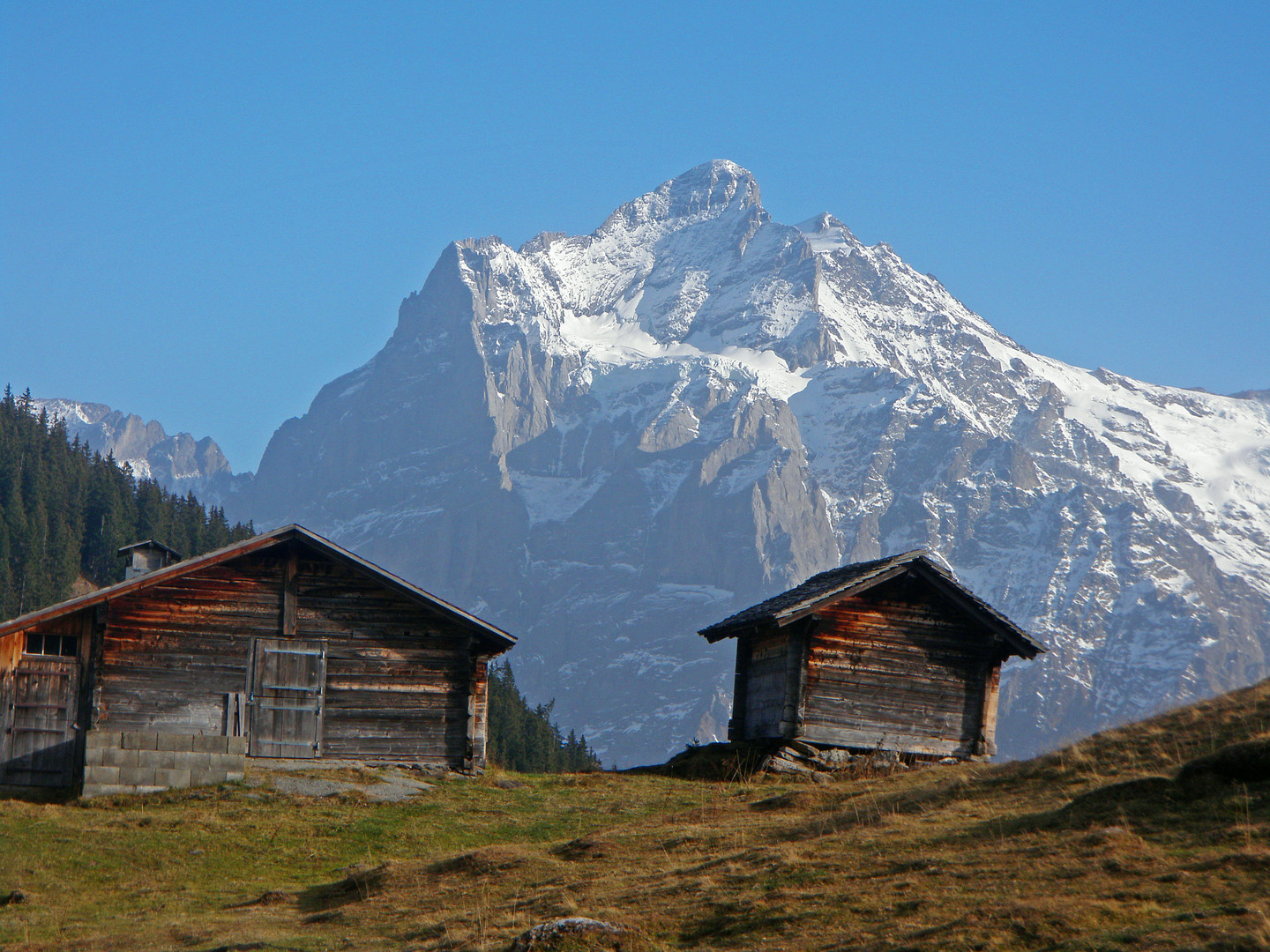 Hübsche Alphütten mit dem Wetterhorn im Hintergrund