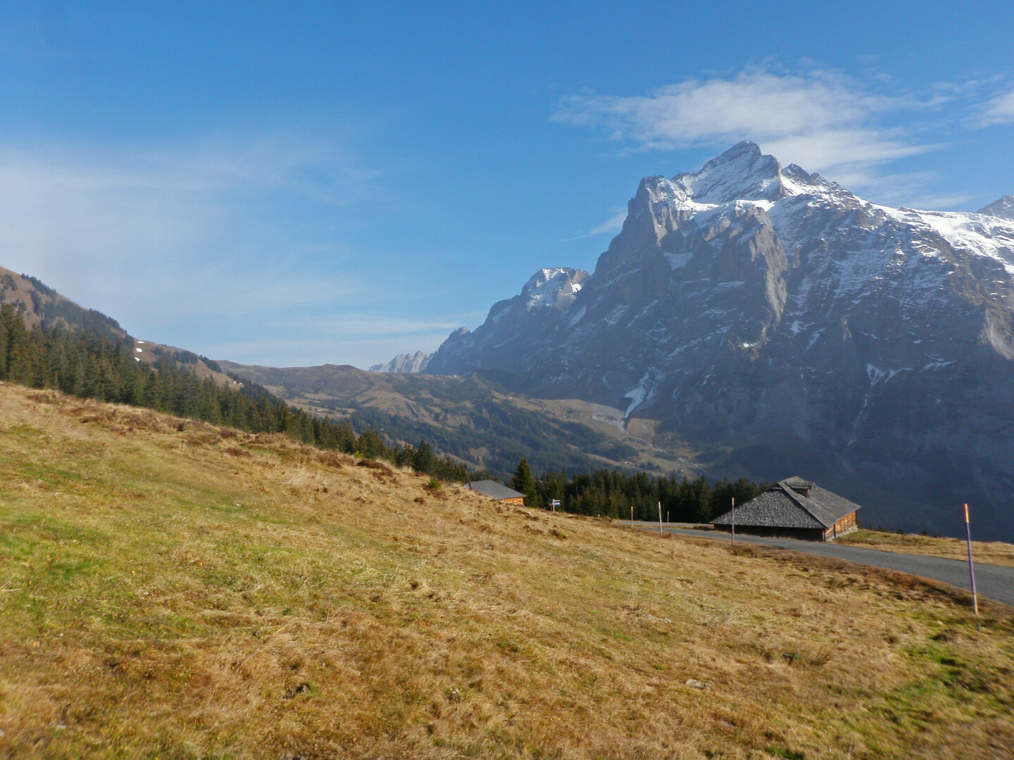 Wetterhorn, links davon die Grosse Scheidegg