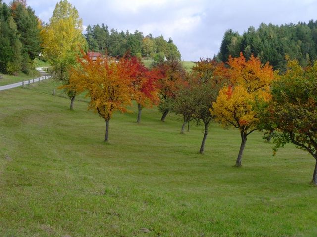 Herbst in Erdmannsdorf