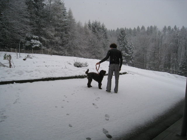 Winter 2009/2010: Immer wieder Schnee, es reicht langsam ...
