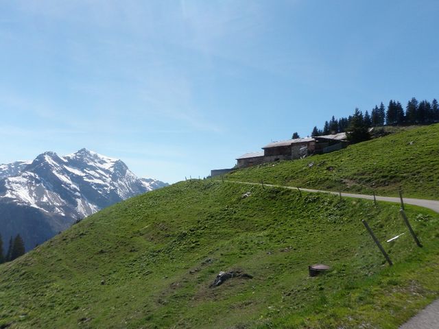 Die Alp Mettenen von unten