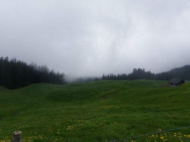 Die Aussicht von der Alp, wenn es wolkenverhangen ist. Siehe Ettlismatt  für Schönwettervariante