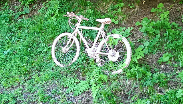 Da hat jemand sein rosa Fahrrad vergessen ...