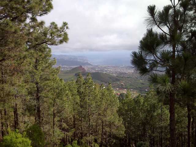 Auffahrt nach La Esperanza Blick auf Santa  Cruz.