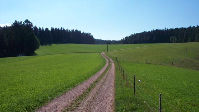 Forstwege im Mittleren Schwarzwald