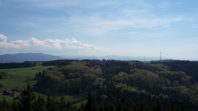Im Hintergrund der Südschwarzwald