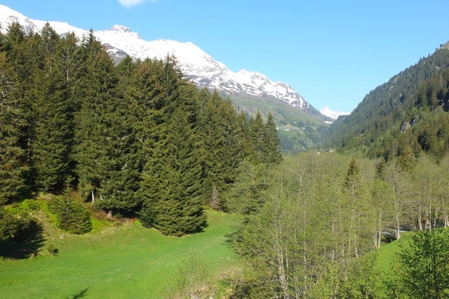 alpenradtour`13 / 
lukmanierpass