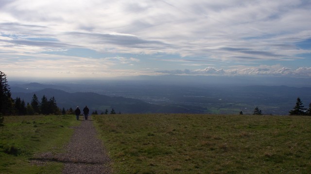 Blick über die westlichen Ausläufer des Schwarzwalds