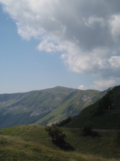 Blick von Petit Montrond auf hohen Jura-Kamm im Süden zum Colomby de Gex.
