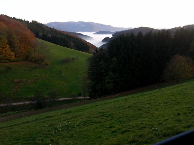 Wolfsgrube Auffahrt aus Siegelau. Blick ins "schmucke Tal", im Hintergrund der Kandel