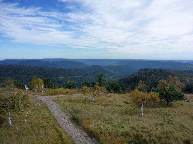 Blick nach Nordosten Richtung Murgtal vom Bismarckturm