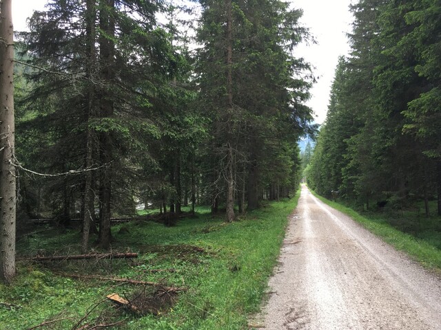 Passo Cimabanche - SW (IMG 0519).