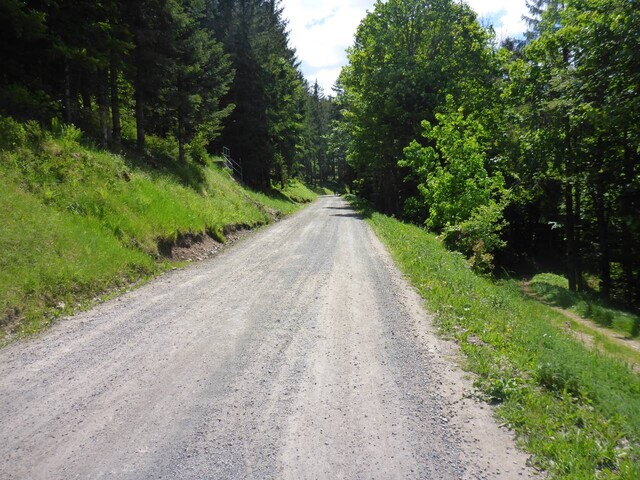 Die auf 1,3 km nicht asphaltierte Strecke zwischen Ehrsberg und Herrenschwand