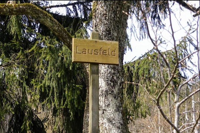 Lausfeld.